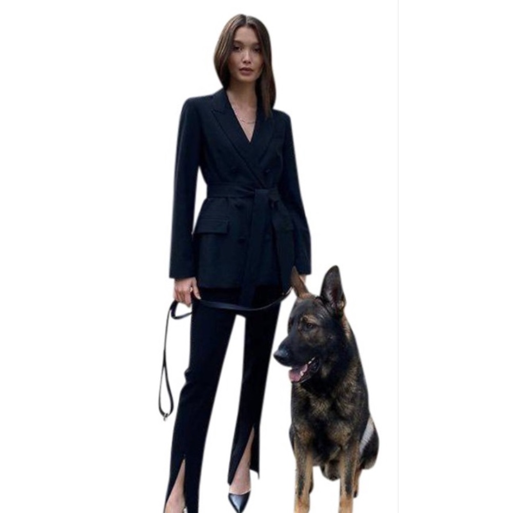 Aritzia Babaton Black Samuel Blazer